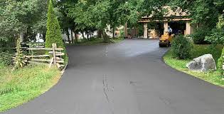 Trusted Buena Vista, GA Driveway Paving Experts